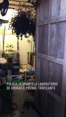 下载视频: EM IRECÊ: Polícia desmantela laboratório de drogas e prende traficante