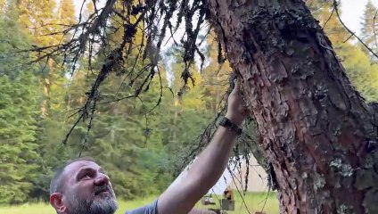 Camping In The Comfort Of A 5-Star Hotel