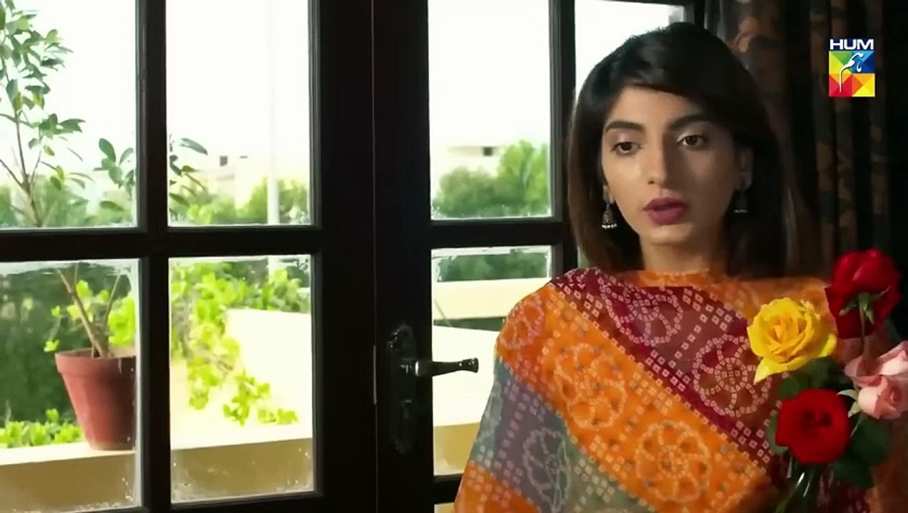 Bharam - Episode 1 - Wahaj Ali - Noor Zafar Khan - Best Pakistani Drama - HUM TV