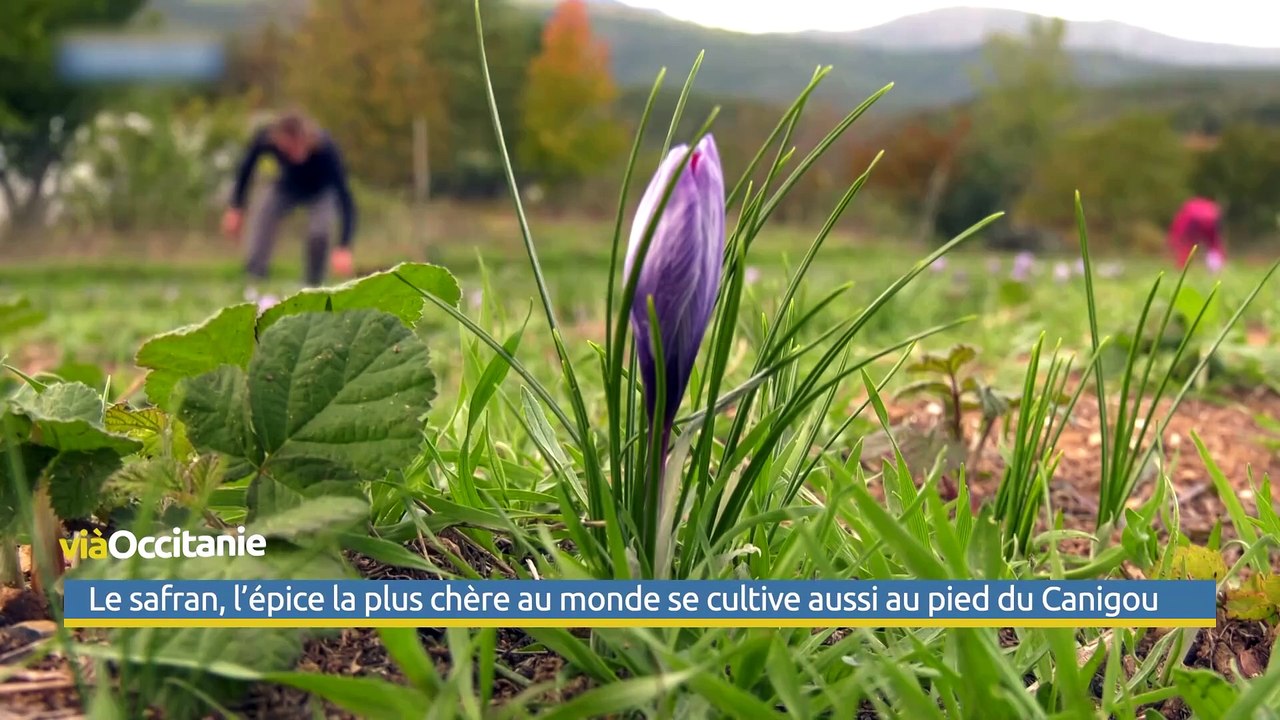 Le Grand J.T. des Territoires du 21 septembre 2024