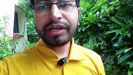 My Friendship with Rhinoceros Beetle
