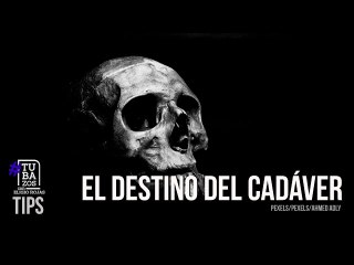 Lo que se sabe del asesinato de Carlos Lanz es la versión de un asesino: ¿Qué hará la Fiscalía?