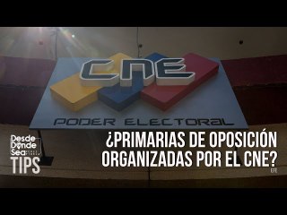 ¿Les cayó la locha?: El reconocimiento de Acción Democrática al CNE