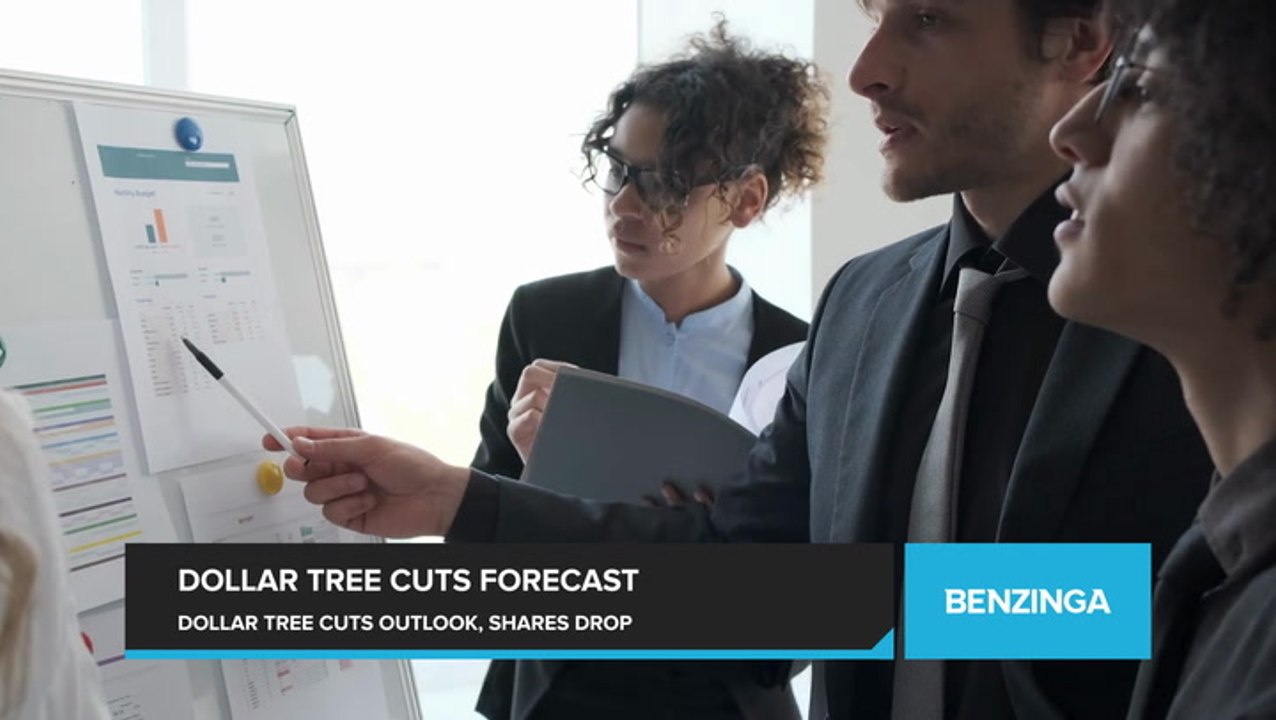 Dollar Tree Slashes Full-Year Outlook, Shares Fall as Discount Retailer Faces  Higher Costs and Weak Sales