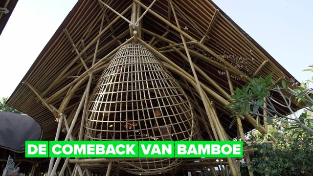 Groene helden: sterke huizen bouwen van bamboe