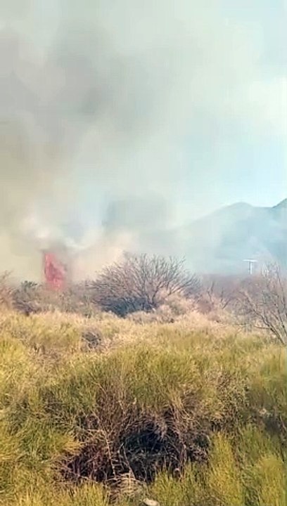 Incendio en Tinogasta