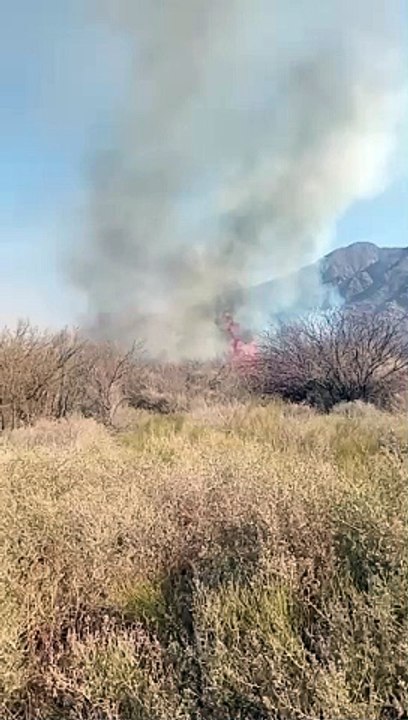 Incendio en Tinogasta