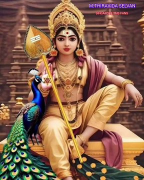 வேல் இருக்க மயில் இருக்க முருகன் இருக்க TMS LEGEND M.THIRAVIDA SELVAN SINGAPORE TMS FANS