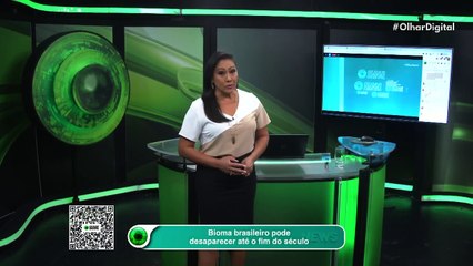 Bioma brasileiro pode desaparecer até o fim do século