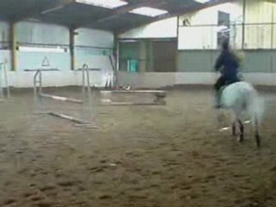 Montage Jimini