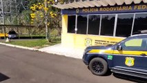 PRF apreende quase 2 toneladas de maconha na BR-277 no Paraná