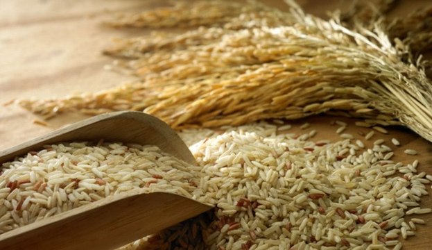 Productores de arroz podrían parar la producción en Coclé