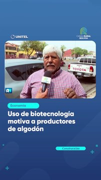Uso de biotecnología motiva a productores de algodón