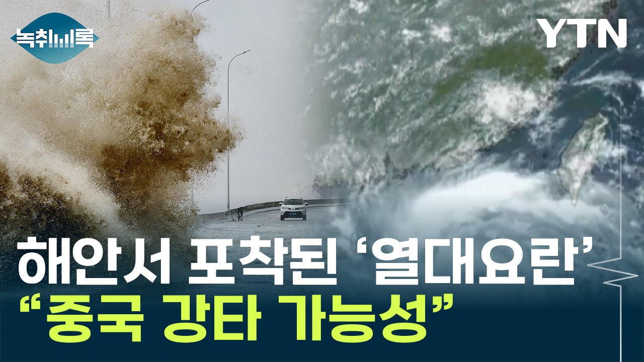 죽지 않고 더 강해지는 '이례적 태풍'...바다서 열대 요란 포착 [Y녹취록] / YTN