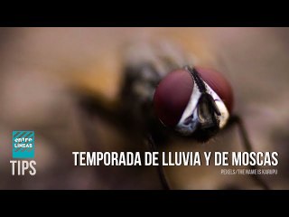 La absurda pretensión de María Corina de ir a las presidenciales