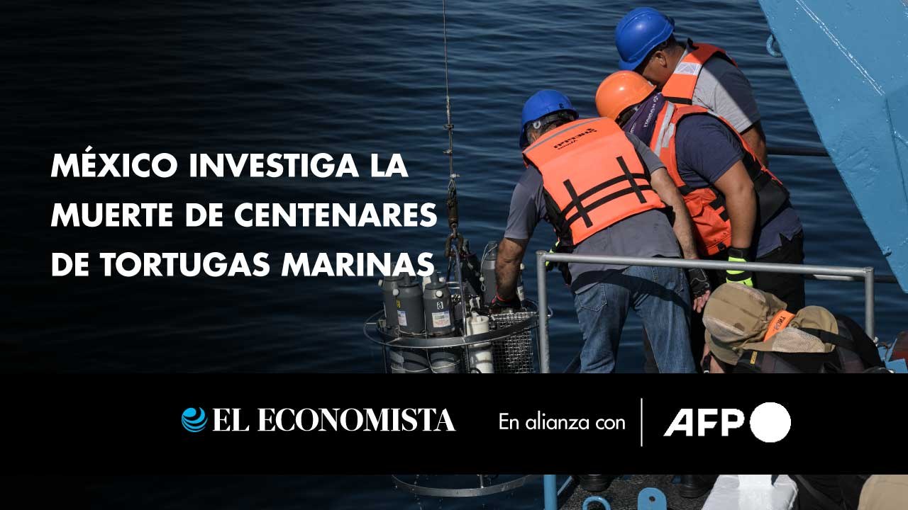 México investiga la muerte de centenares de tor...