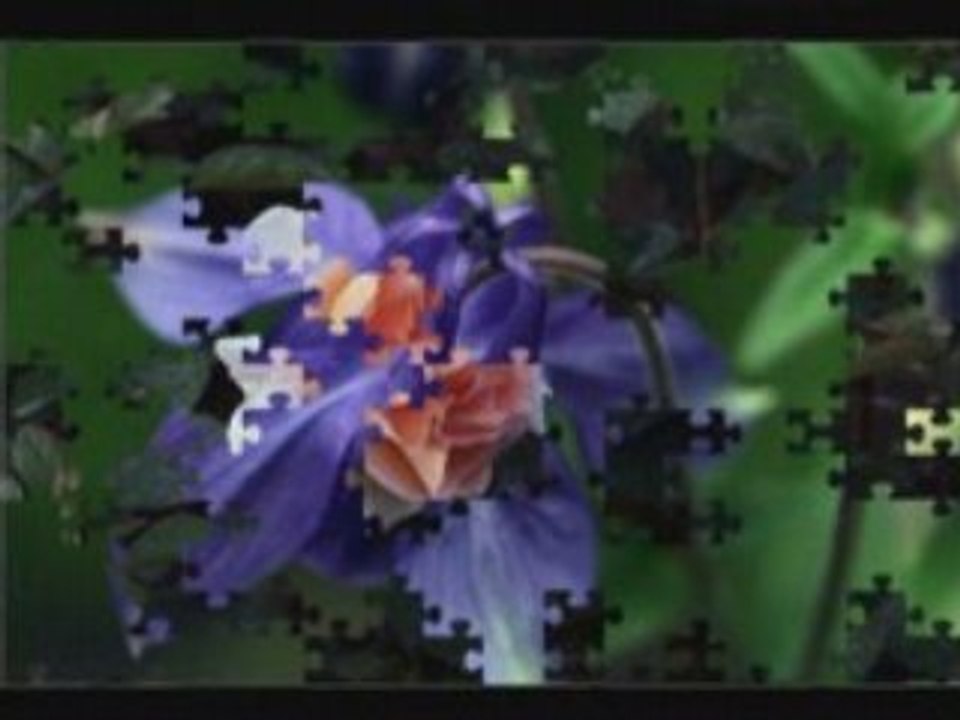 la ronde des fleurs
