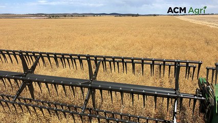 Grandview, Gutha | Farm Weekly