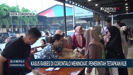 Rabies di Gorontalo Meningkat Hingga Mencapai 581 Kasus Gigitan, 1 Orang Meninggal Dunia