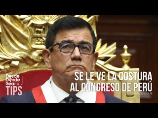 ¡Se les enredó el papagayo!: La legalidad de la destitución de Pedro Castillo bajo sospecha