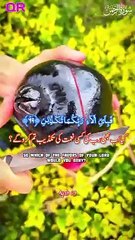 Surah Rahman soothing voice of holy Quran