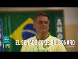 Entre silencios y falsa sorpresa: ¿Bolsonaro dirige plan de golpe de Estado? (+Brasil)