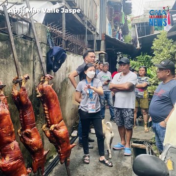 Apat na lechon, bakit inilibing?! | GMA Integrated Newsfeed