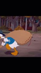The Disturbing Truth Behind Donald Duck