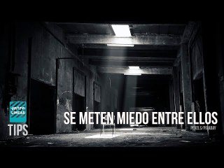 El verdadero destino de las armas enviadas a Ucrania