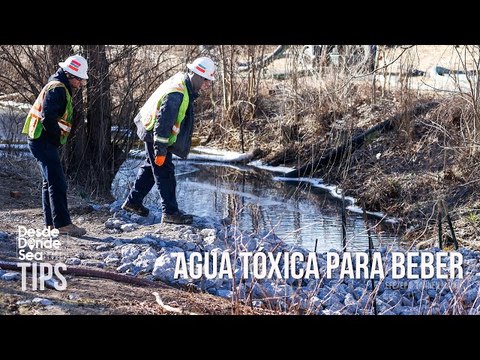 ¡Irresponsabilidad mortal!: Químicos tóxicos del tren descarrilado contamina el agua en Ohio