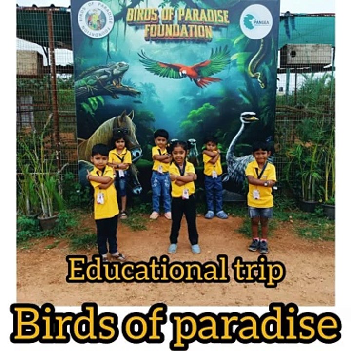 An  Educational Trip to Birds of Paradise deepens children's understanding of wildlife Foster's a love for nature and enhance observation and learning skills through direct interaction with bird species.