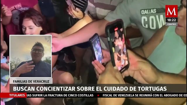 Familias liberan a crías de tortugas en Veracruz
