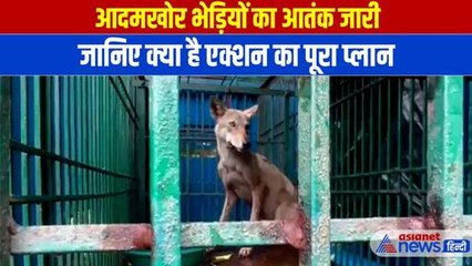 Bahraich Wolf News: बहराइच में भेड़ियों को पकड़ने के लिए क्या है पूरा प्लान, हर तरफ खतरे की घंटी