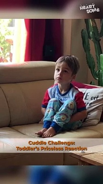 Toddler's Joyful Reaction to Favorite Show
