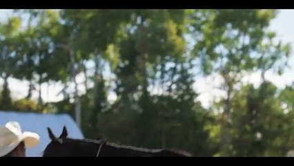 Beyond Black Beauty Trailer OV