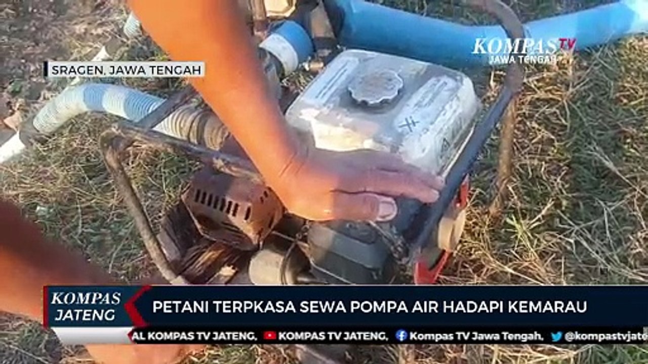 Petani Terpaksa Sewa Pompa Air Hadapi Kemarau