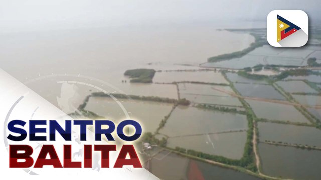 Supply ng bigas sa bansa, nananatiling sapat sa kabila ng pinsalang dulot ng Bagyong #EntengPH at habagat ayon sa DA
