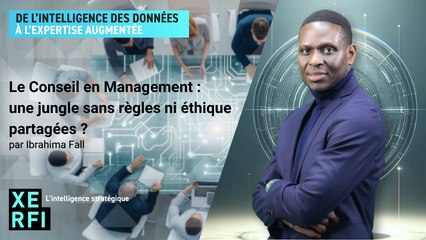 Le Conseil en Management : une jungle sans règles ni éthique partagées ? [Ibrahima Fall]