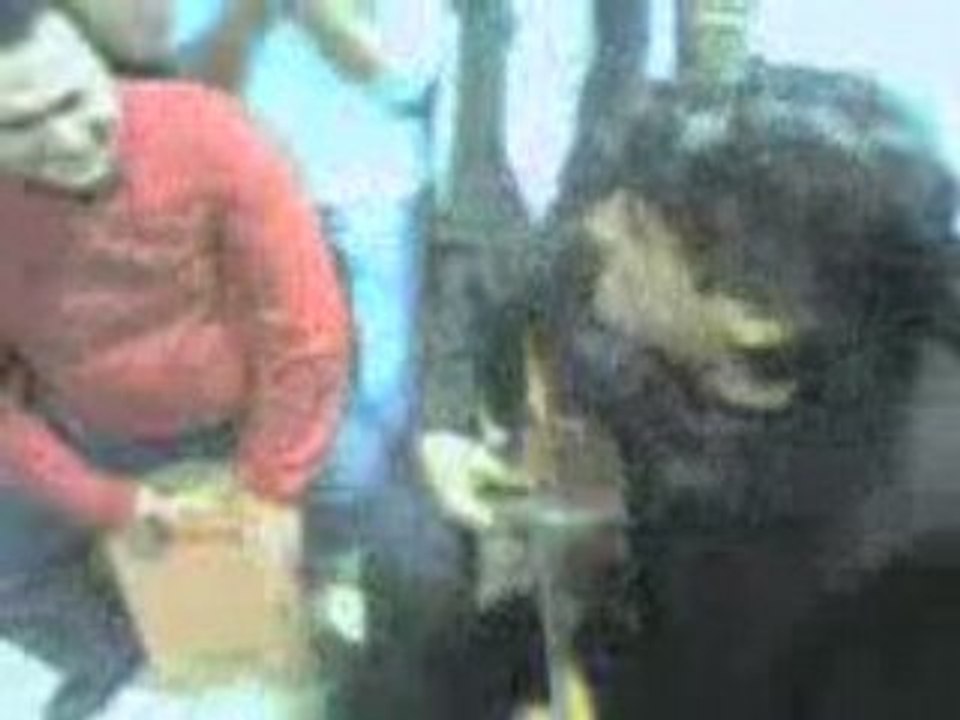 mariage a juan y chata