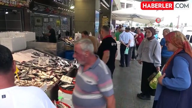 Hamsi Palamutu Kıskandı, Tezgahlarda Yerini Aldı