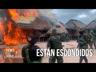 “Está llegando al área”: Interceptan en campamento Tancol conversación de invasores ambientales