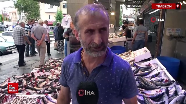 Karadeniz’de palamuttan sonra hamsi bolluğu