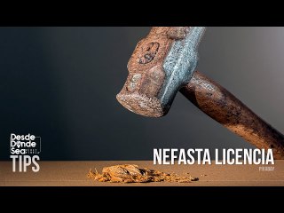 Licencia 42: ¿Por qué es un zarpazo a los avances de la Conferencia Internacional sobre Venezuela?