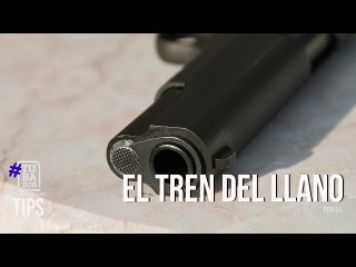 El Tren del Llano: ¿Quiénes son los socios que le colaboran en la logística?