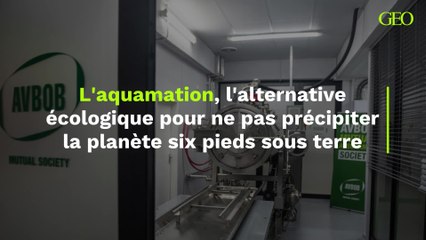 L'aquamation, l'alternative écologique pour ne pas précipiter la planète six pieds sous terre