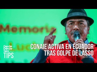 Golpe de Lasso: Así reaccionó la Confederación de Nacionalidad Indígenas de Ecuador