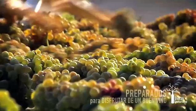 Ruta del Vino de El Bierzo