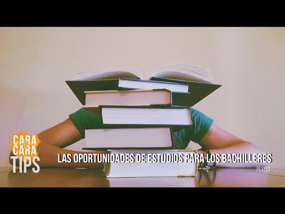 ¿Cuáles son las oportunidades de estudios para los bachilleres?