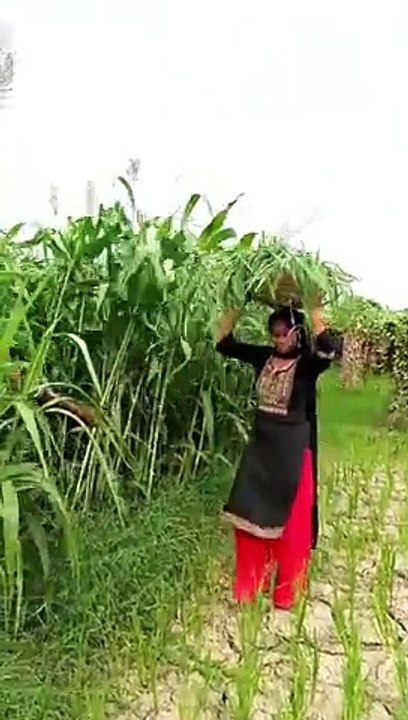 Dasi rajab family vlogs | dasi anti village vlogs | daily vlog #dailyvlog #mayag #foryou