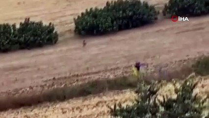 Tarlada filmleri aratmaya kovalamaca: O kaçtı, polis kovaladı